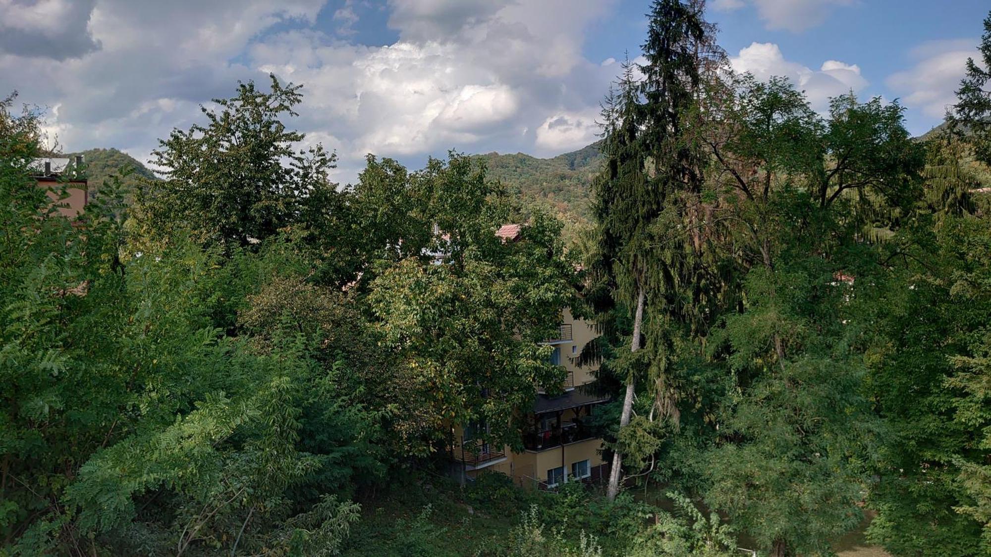 הוילה Băile Olăneşti Casa Tihna מראה חיצוני תמונה