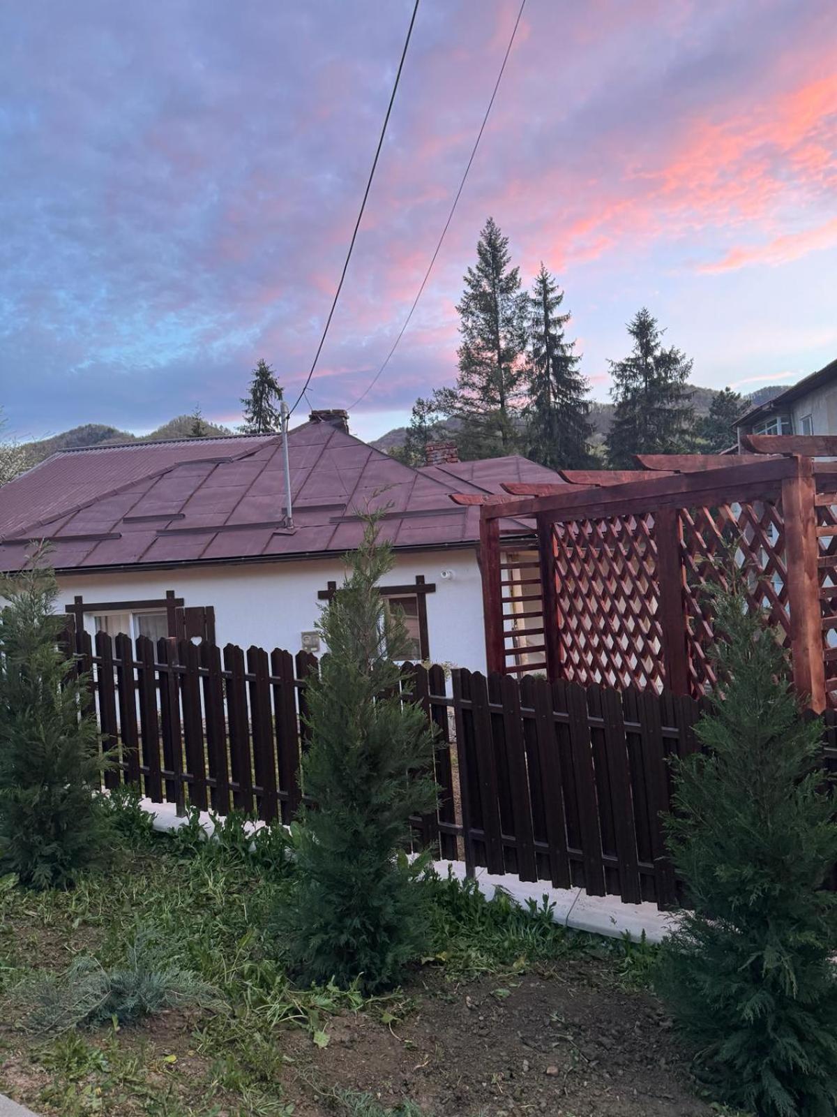 הוילה Băile Olăneşti Casa Tihna מראה חיצוני תמונה