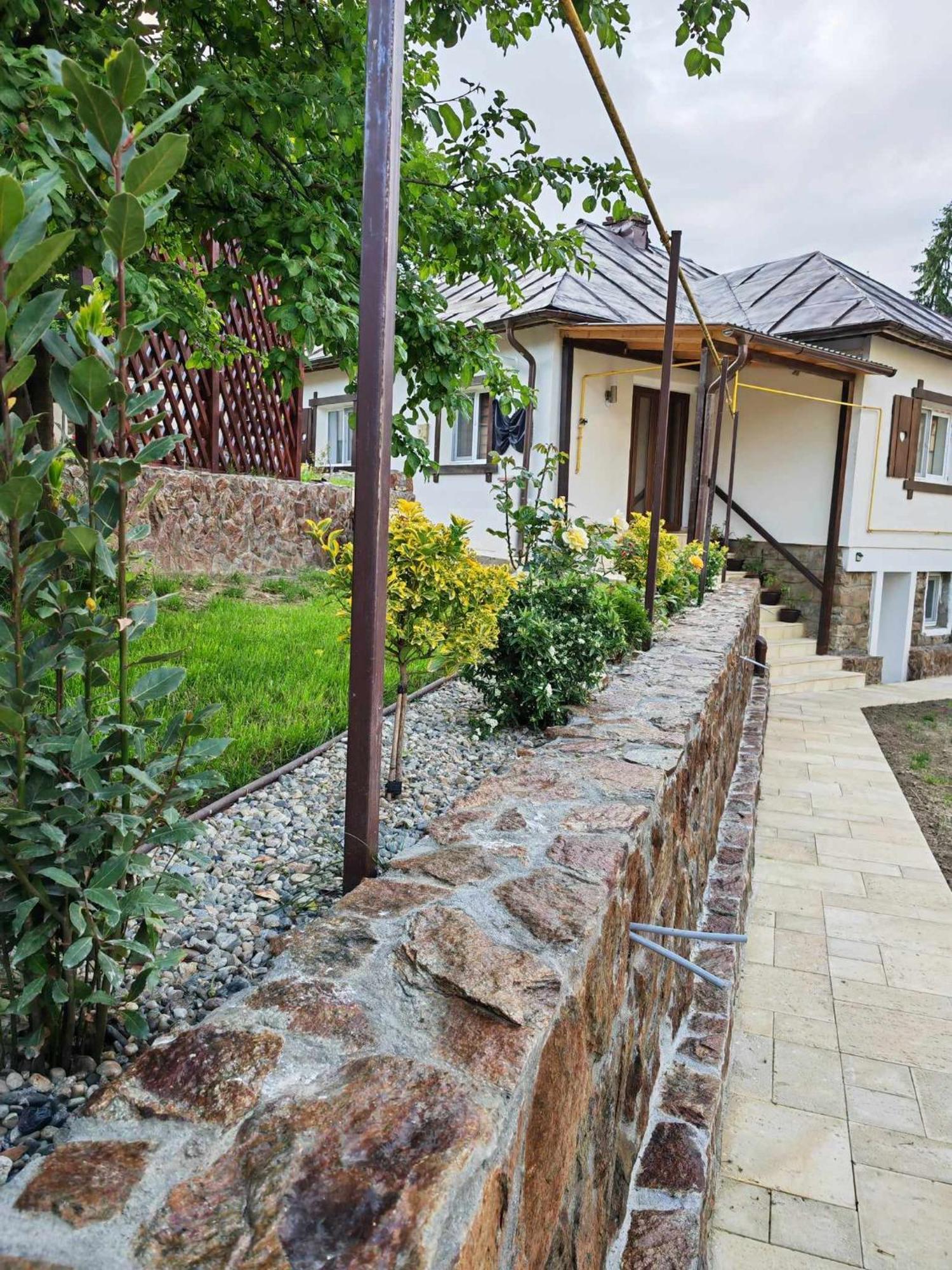 הוילה Băile Olăneşti Casa Tihna מראה חיצוני תמונה