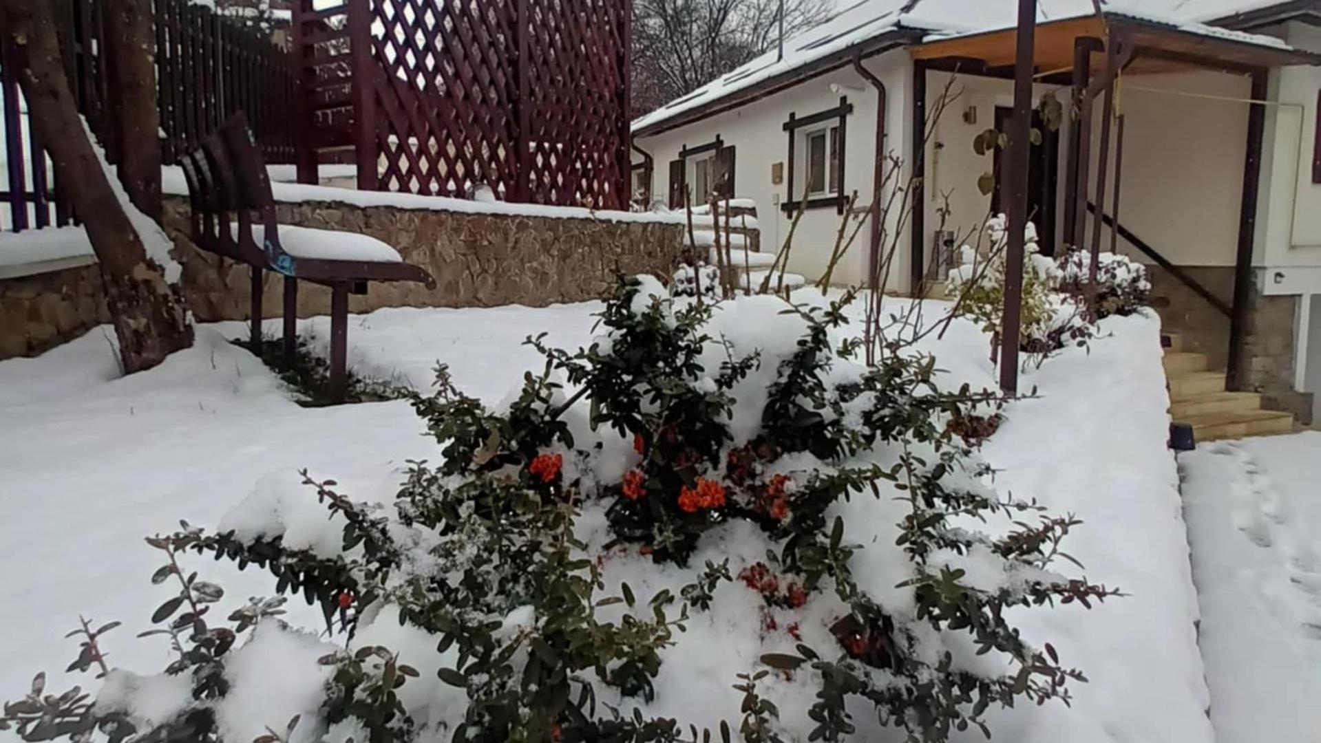 הוילה Băile Olăneşti Casa Tihna מראה חיצוני תמונה